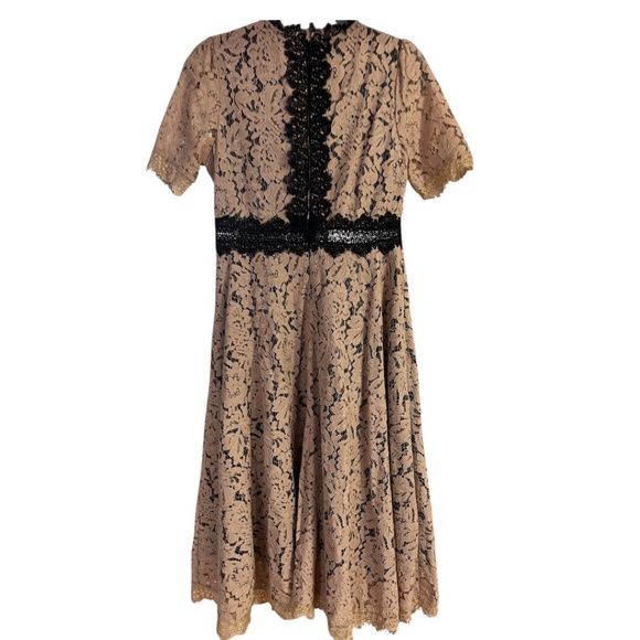 Tan & Black Lace Lined Midi Dress - Size 4 - Picture 2 of 11